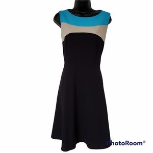 Calvin Klein Colorblock Dress